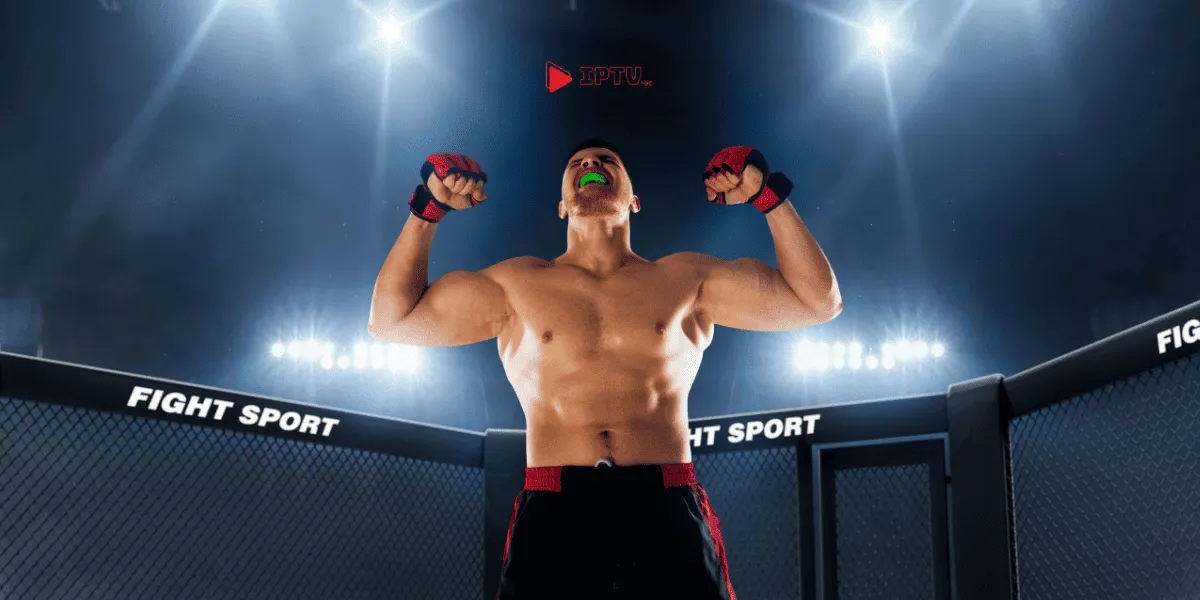 5 melhores canais de UFC para assistir luta